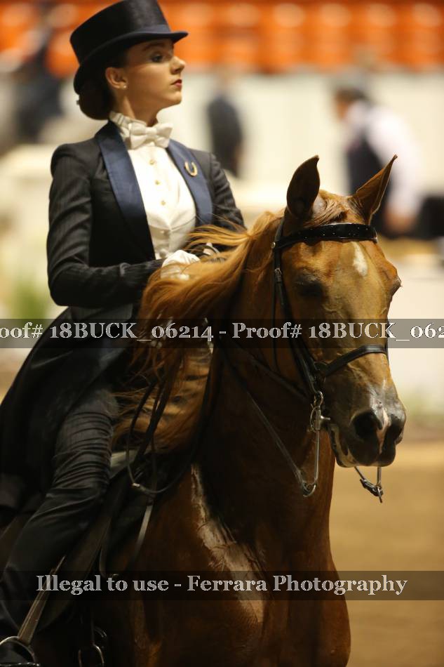 Proof 18BUCK_06214