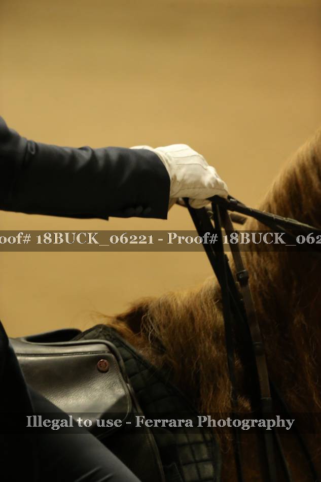 Proof 18BUCK_06221
