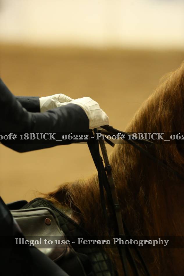 Proof 18BUCK_06222