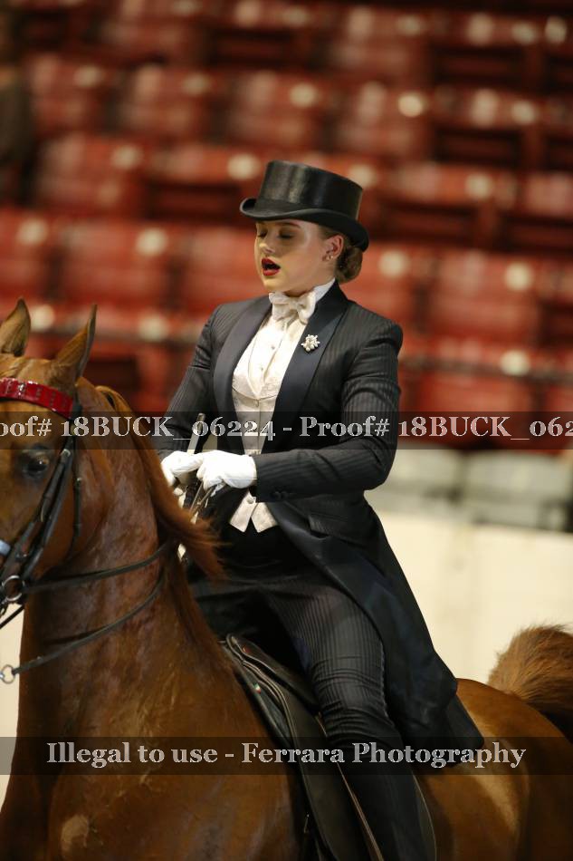 Proof 18BUCK_06224