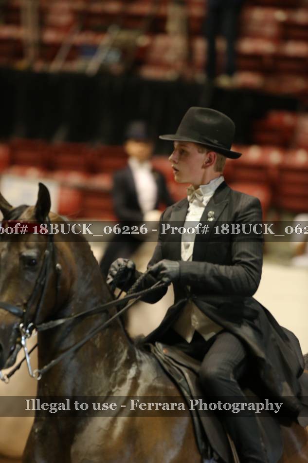 Proof 18BUCK_06226