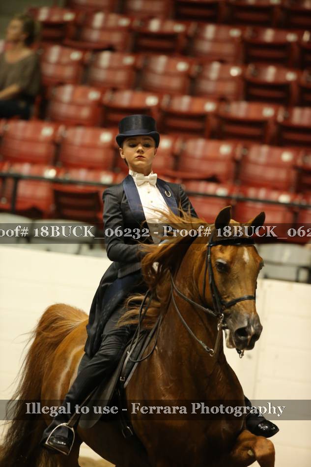 Proof 18BUCK_06232