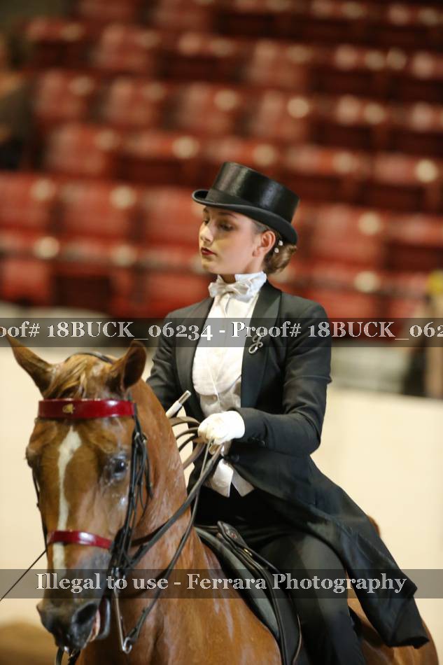 Proof 18BUCK_06234