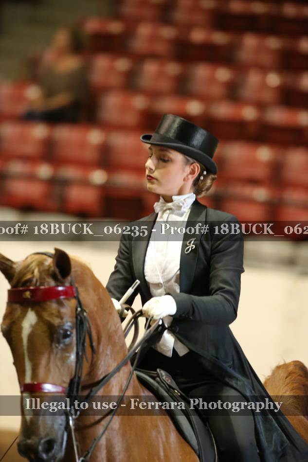 Proof 18BUCK_06235