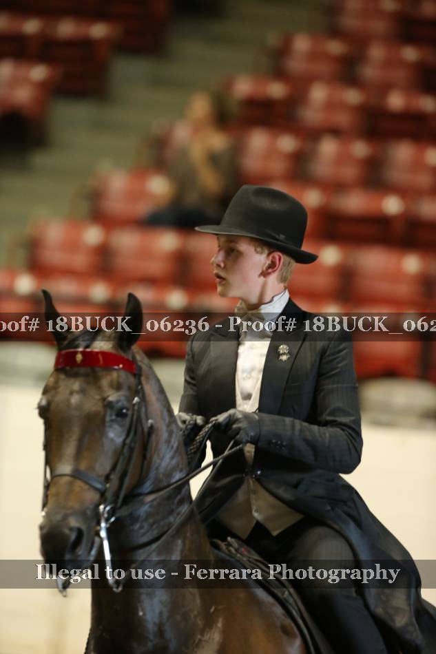 Proof 18BUCK_06236