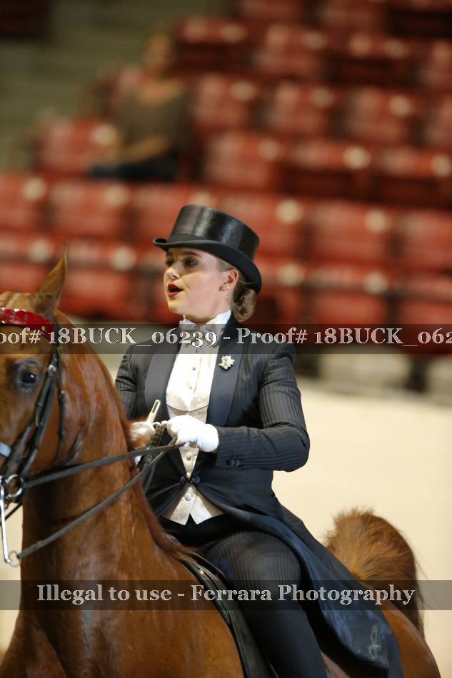Proof 18BUCK_06239
