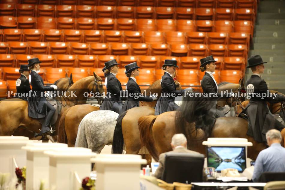 Proof 18BUCK_06243