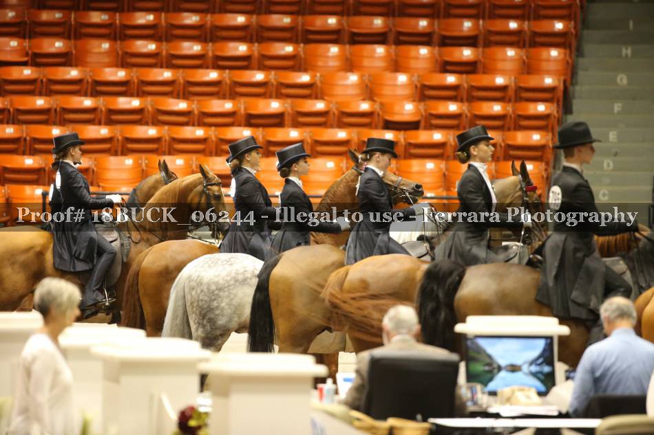 Proof 18BUCK_06244