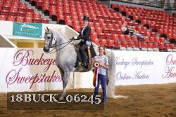 18BUCK_06245 proof