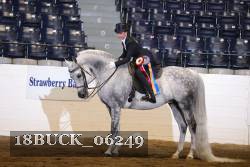 18BUCK_06249 proof