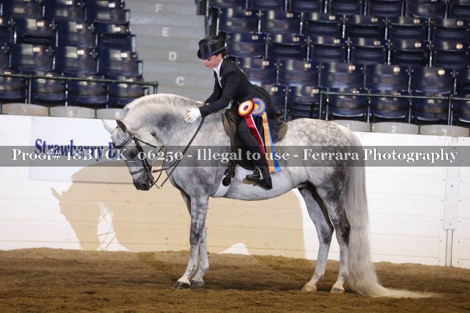 Proof 18BUCK_06250