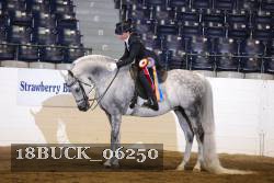 18BUCK_06250 proof