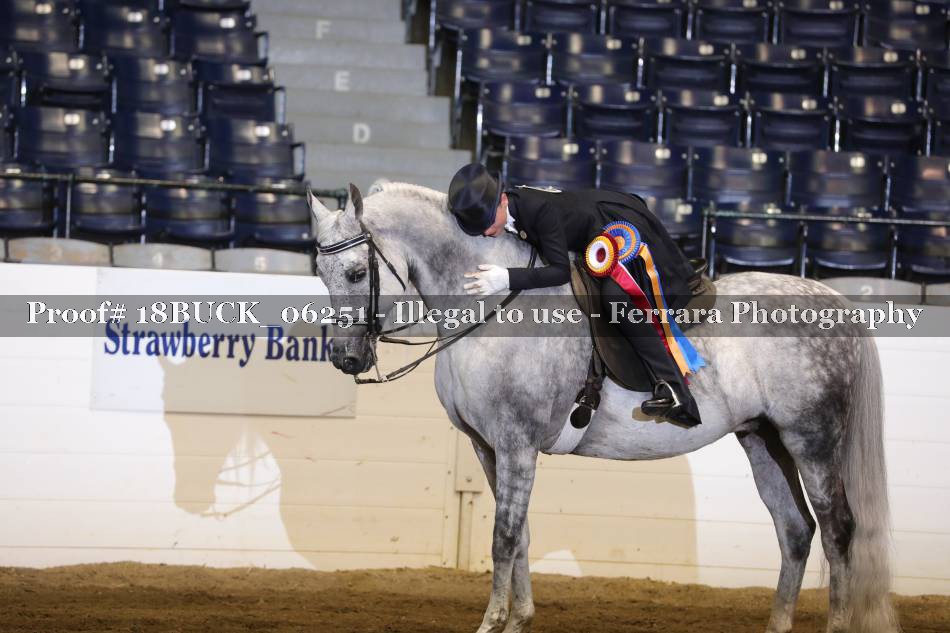Proof 18BUCK_06251