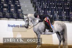 18BUCK_06251 proof