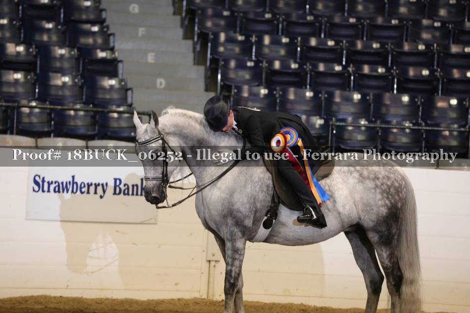 Proof 18BUCK_06252
