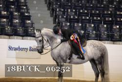 18BUCK_06252 proof