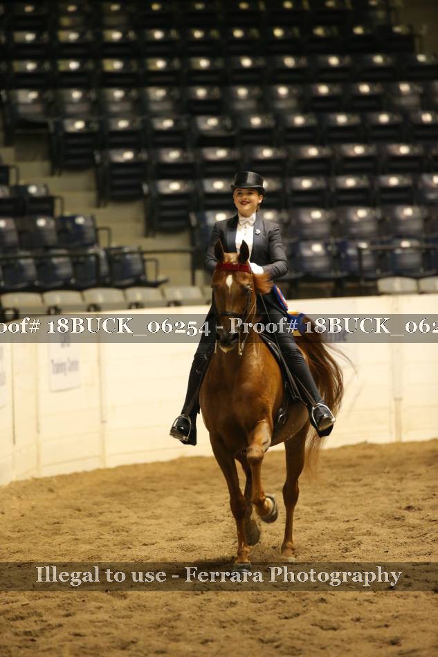Proof 18BUCK_06254