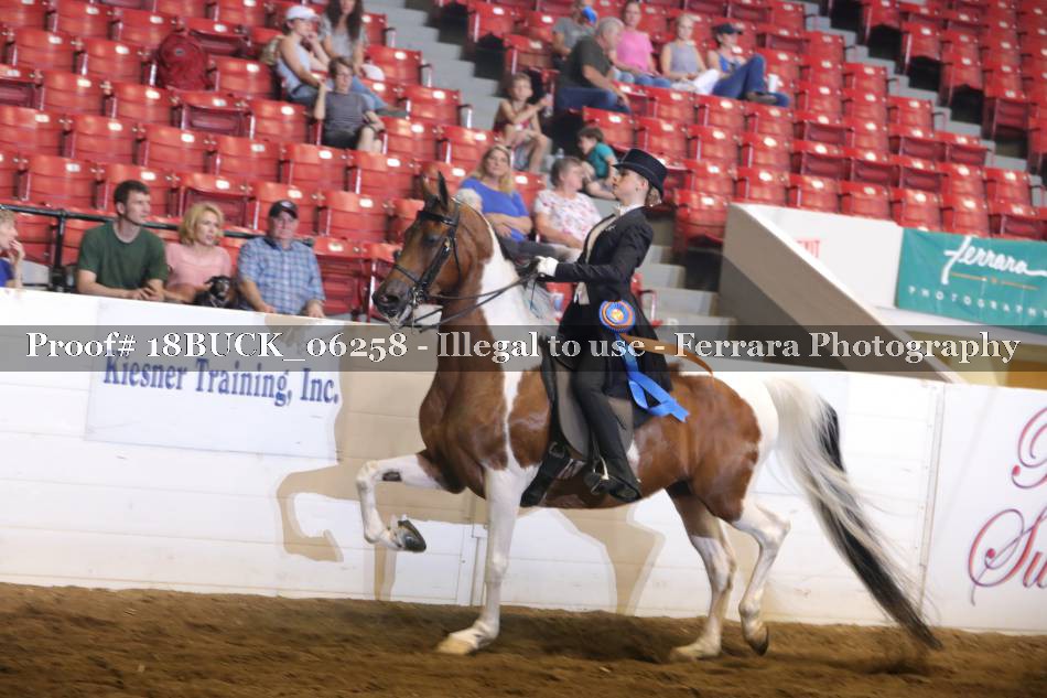 Proof 18BUCK_06258