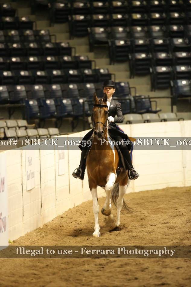 Proof 18BUCK_06259
