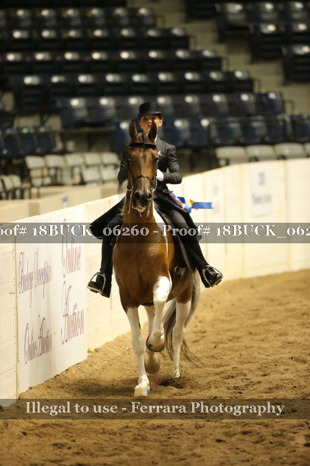 Proof 18BUCK_06260