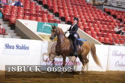 18BUCK_06262 proof