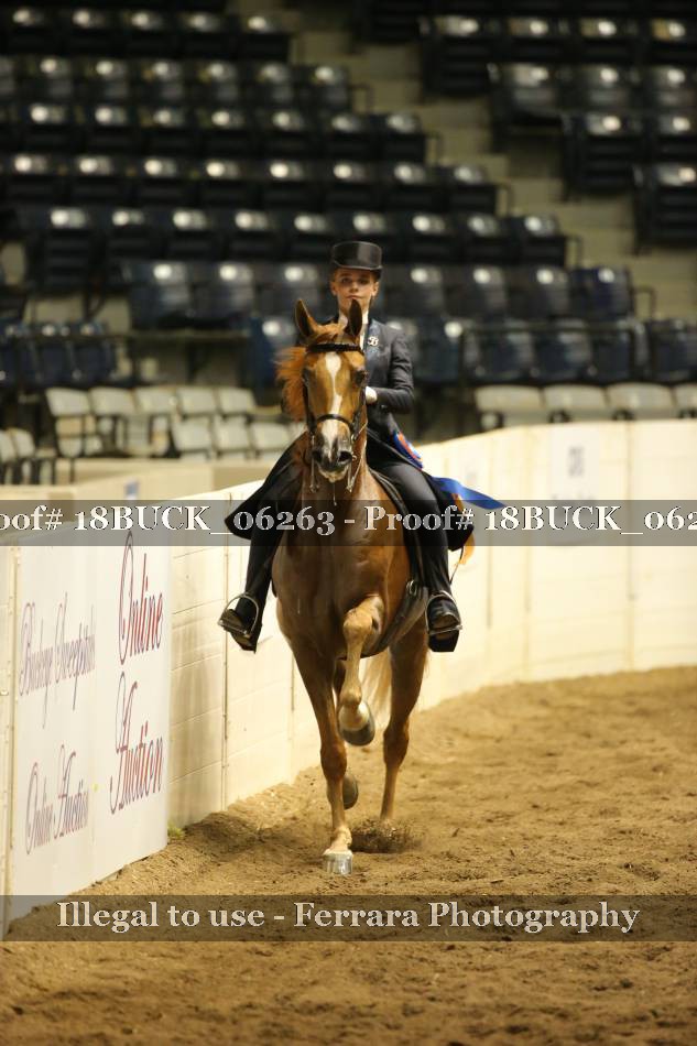 Proof 18BUCK_06263