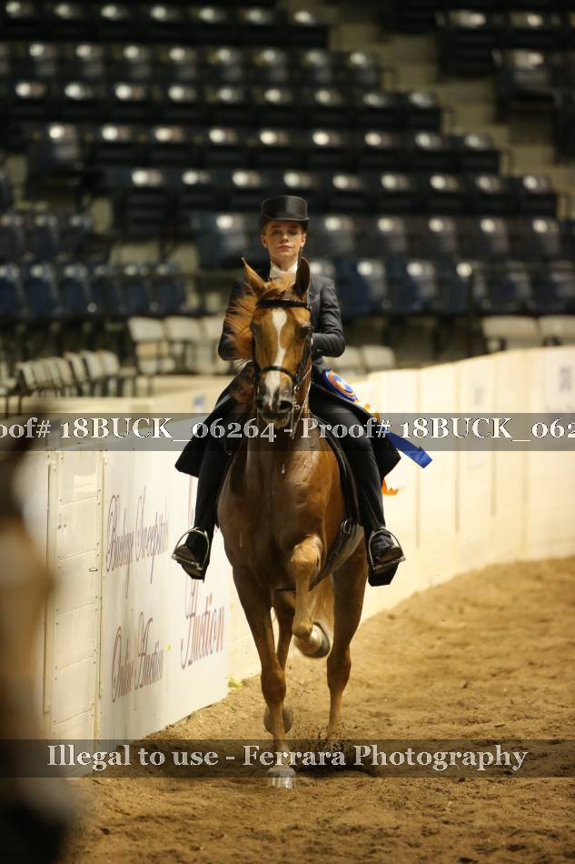 Proof 18BUCK_06264