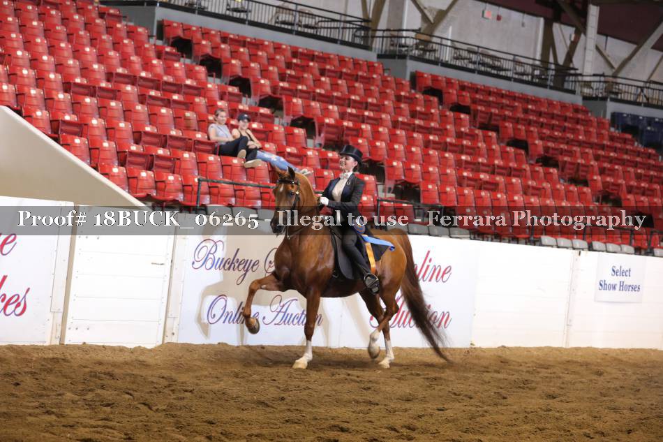 Proof 18BUCK_06265