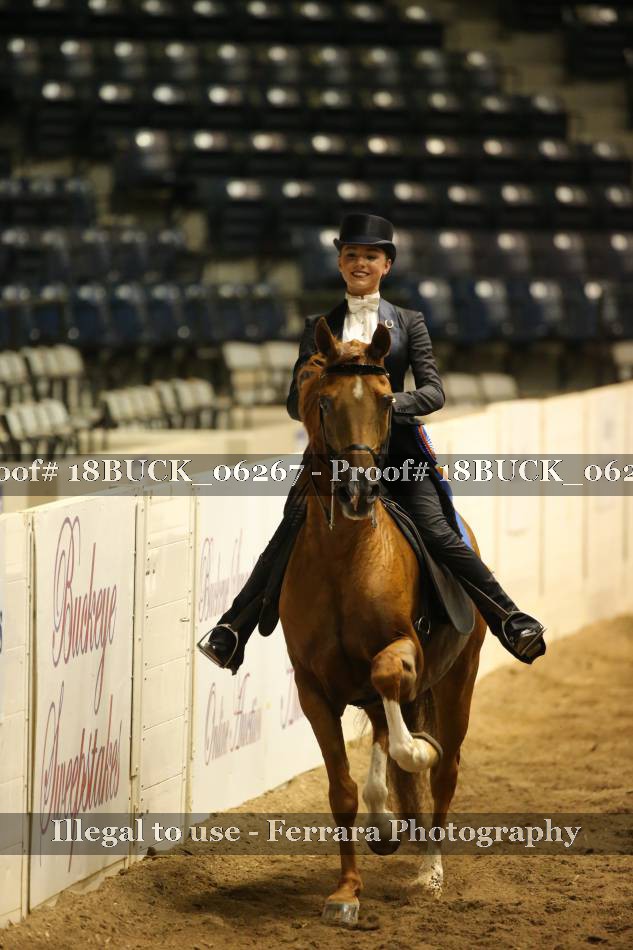 Proof 18BUCK_06267