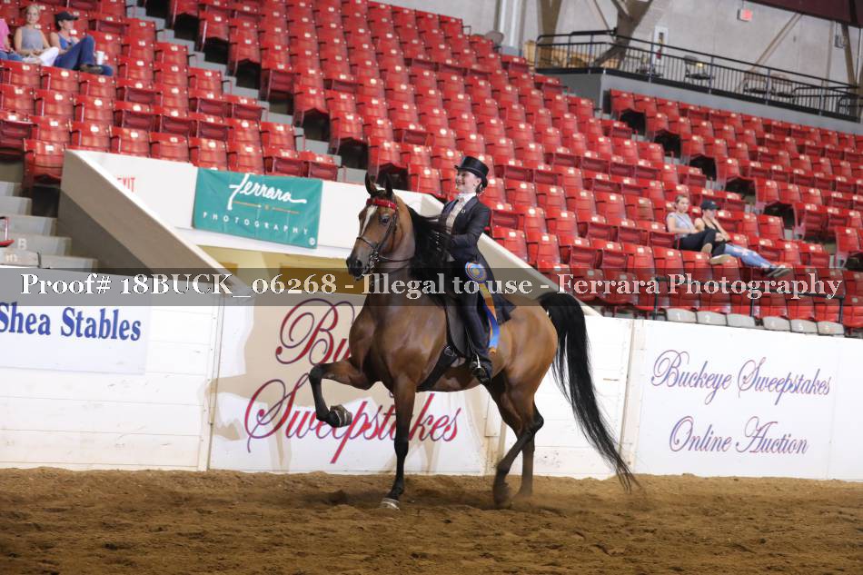 Proof 18BUCK_06268