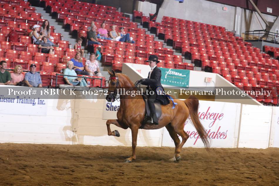 Proof 18BUCK_06272