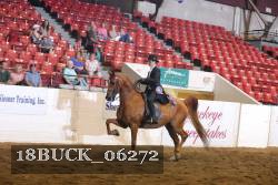 18BUCK_06272 proof