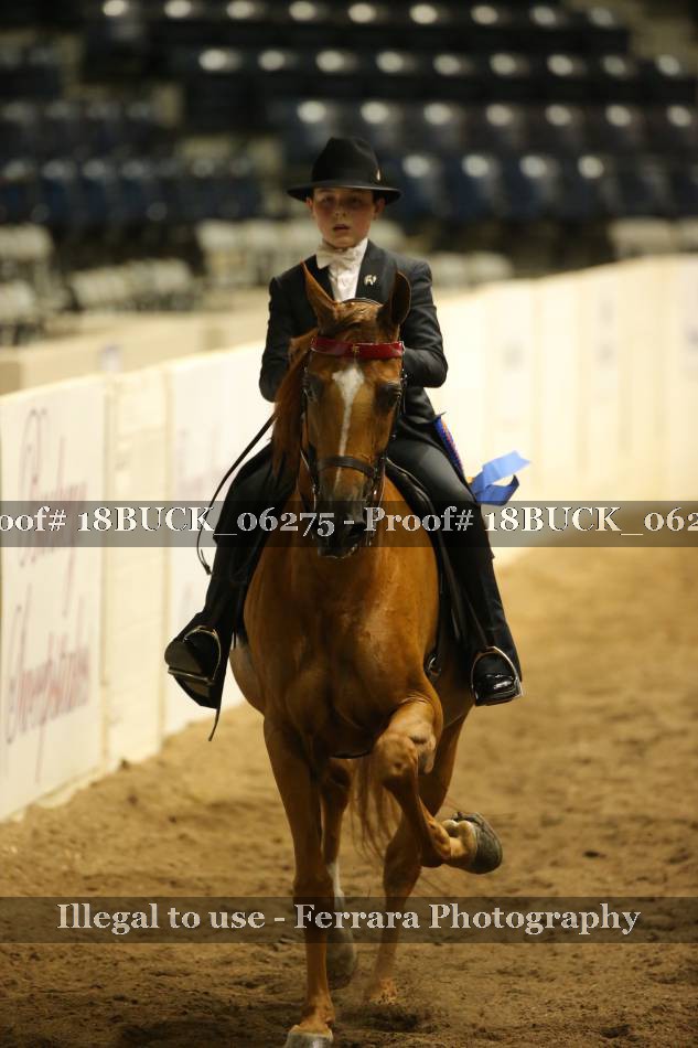 Proof 18BUCK_06275