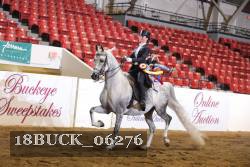 18BUCK_06276 proof