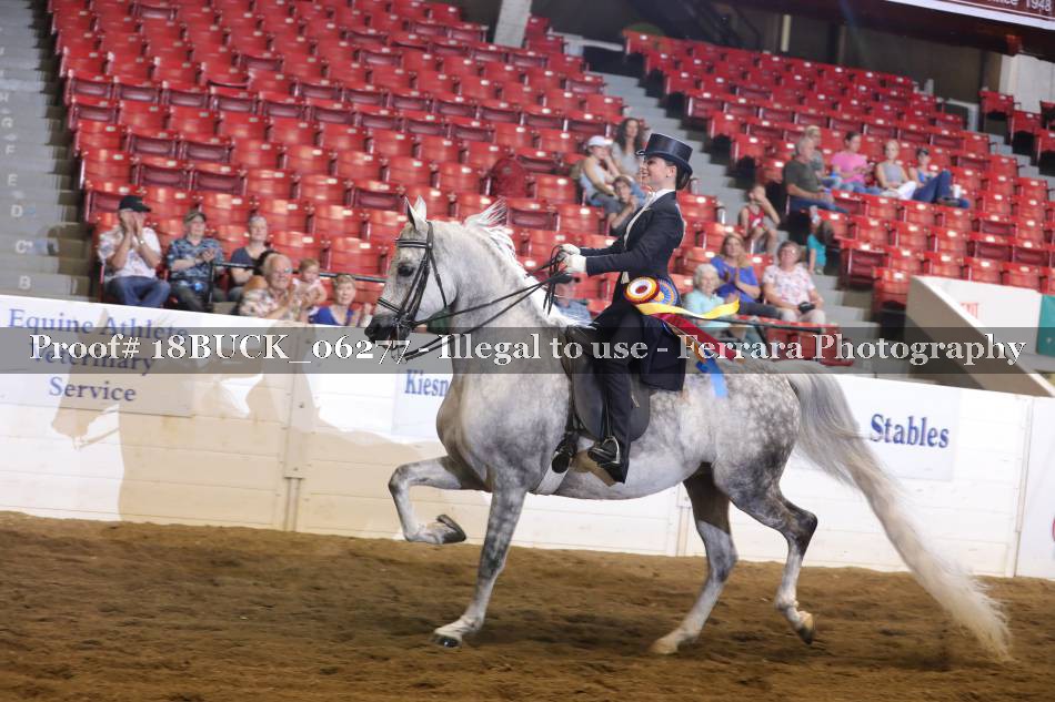 Proof 18BUCK_06277