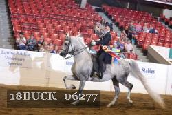 18BUCK_06277 proof