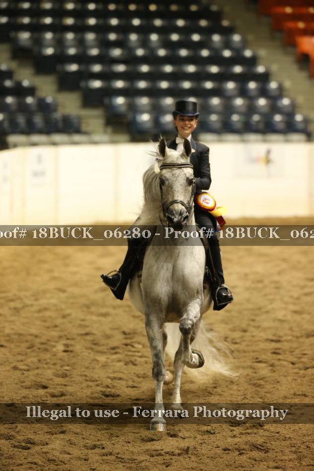Proof 18BUCK_06280
