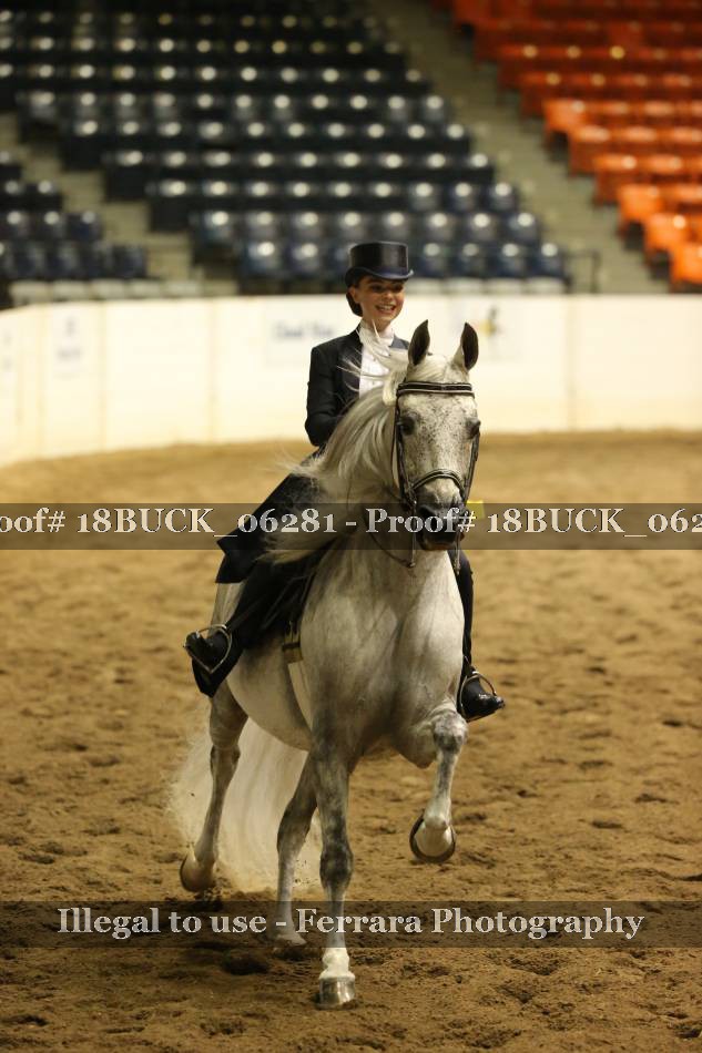 Proof 18BUCK_06281
