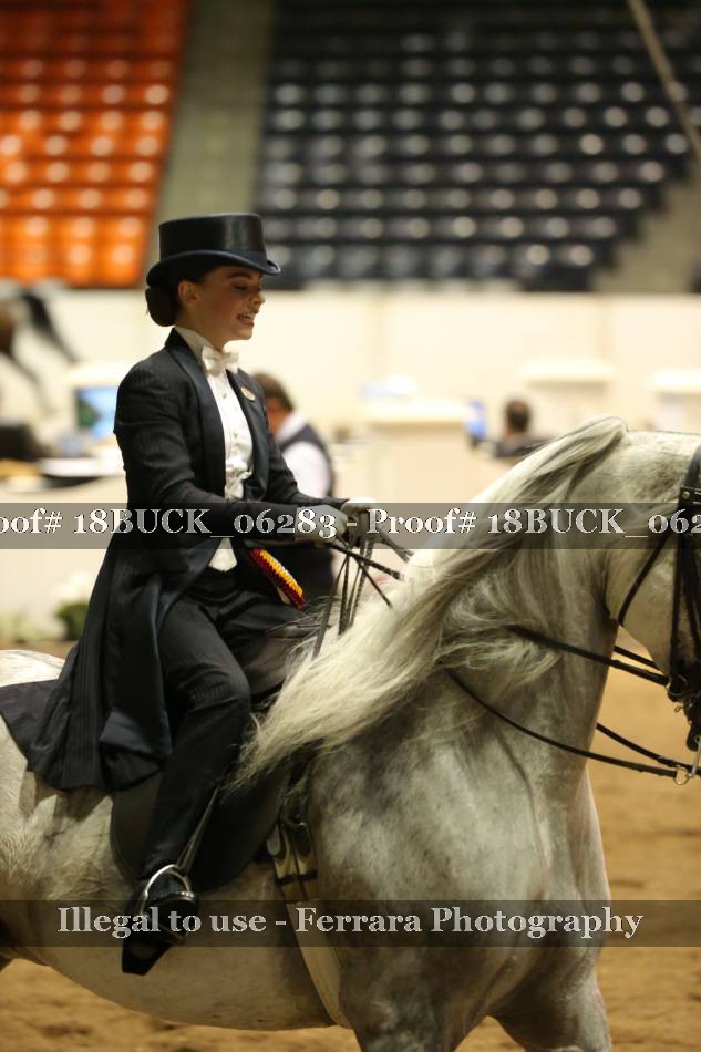 Proof 18BUCK_06283