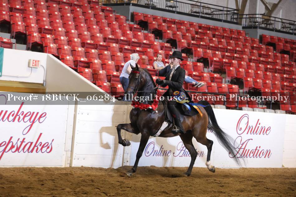 Proof 18BUCK_06284