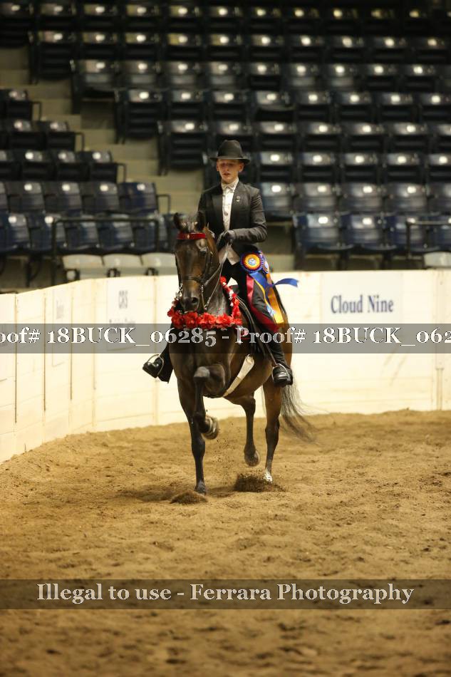 Proof 18BUCK_06285