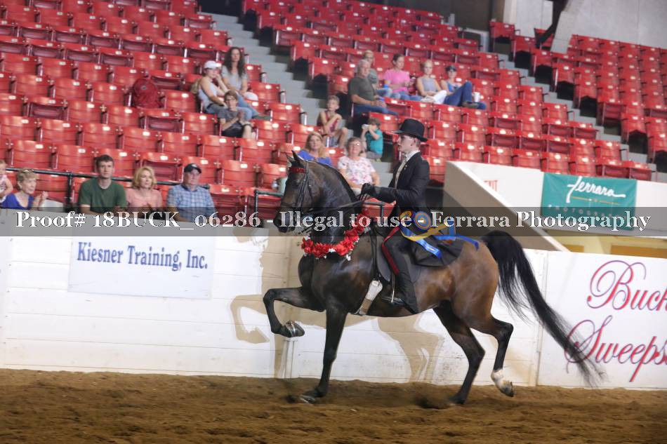 Proof 18BUCK_06286