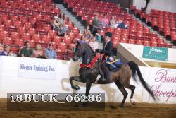 18BUCK_06286 proof