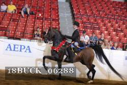 18BUCK_06288 proof