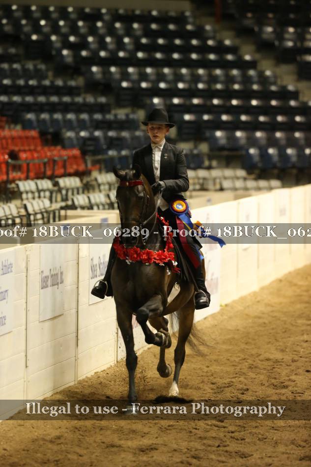 Proof 18BUCK_06289
