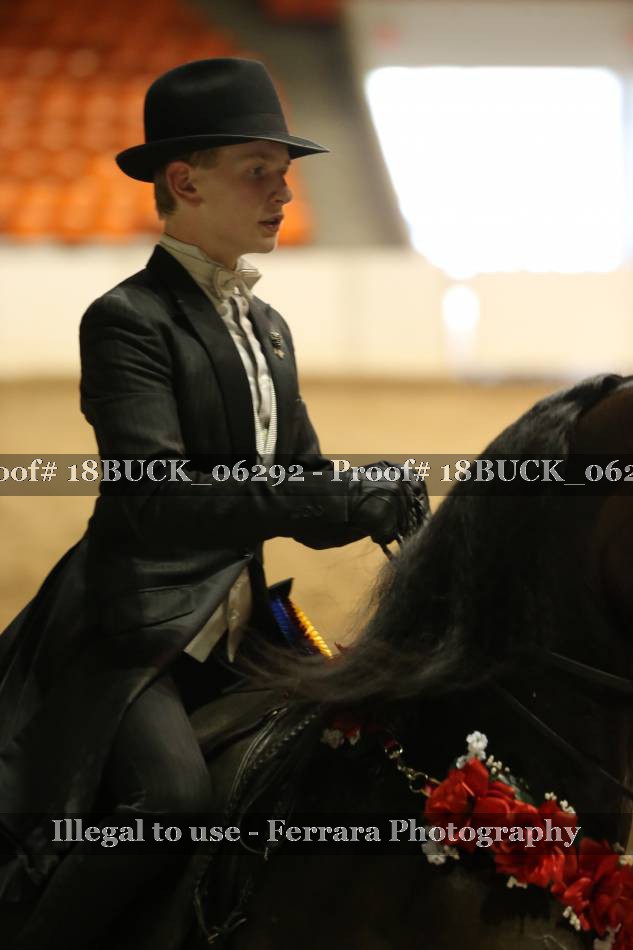 Proof 18BUCK_06292