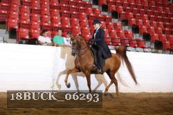18BUCK_06293 proof