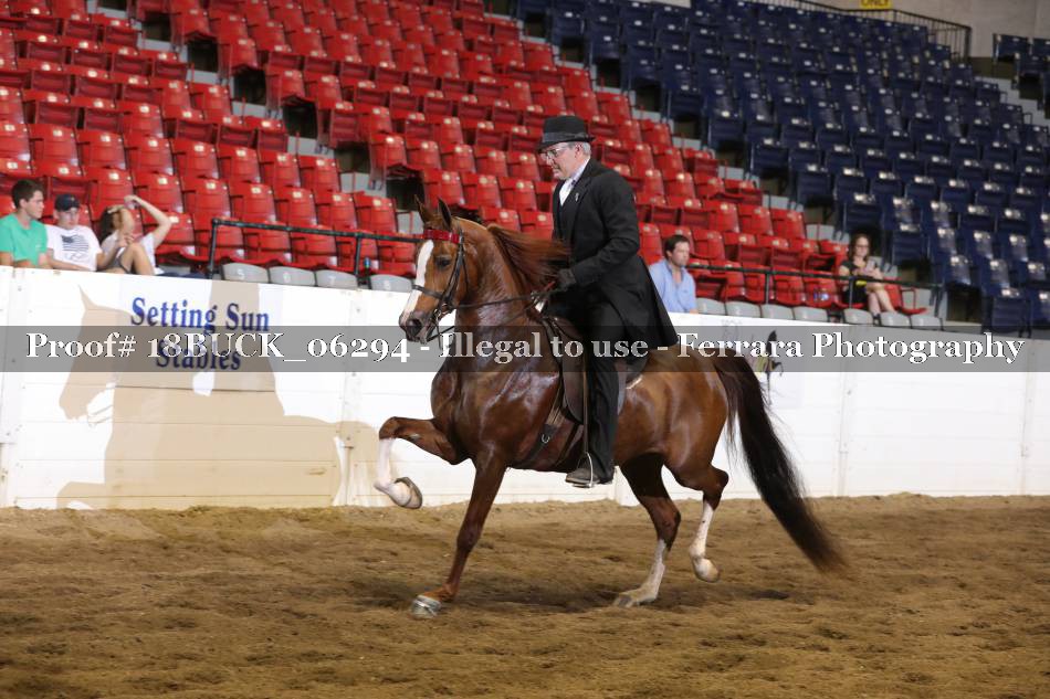 Proof 18BUCK_06294