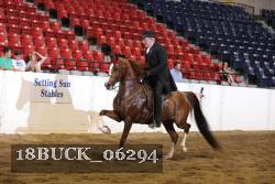18BUCK_06294 proof
