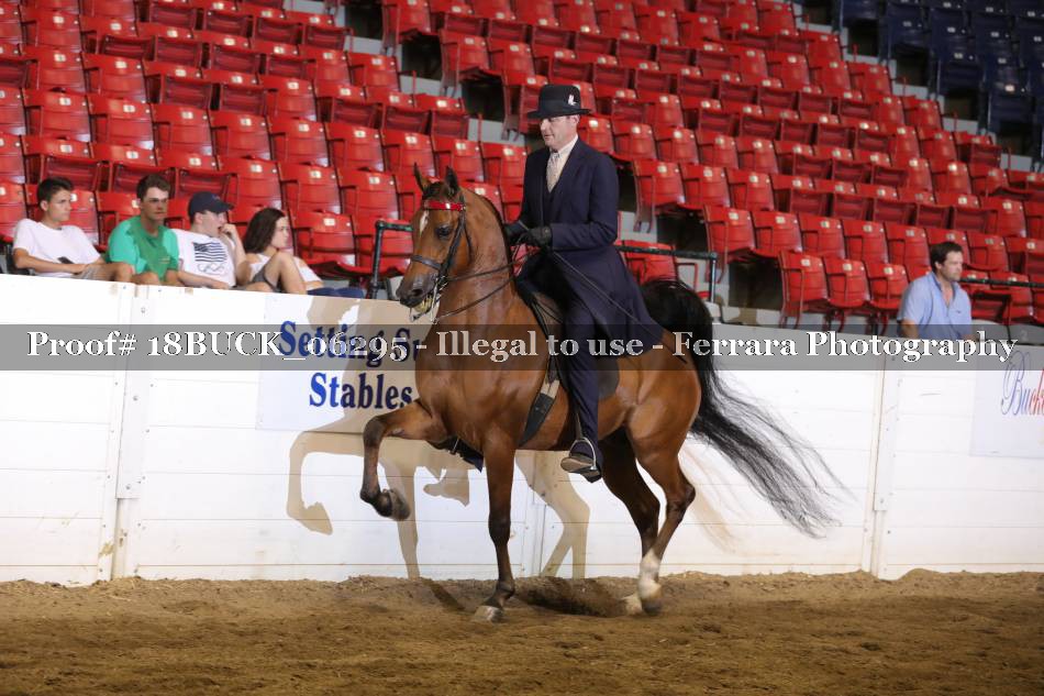 Proof 18BUCK_06295